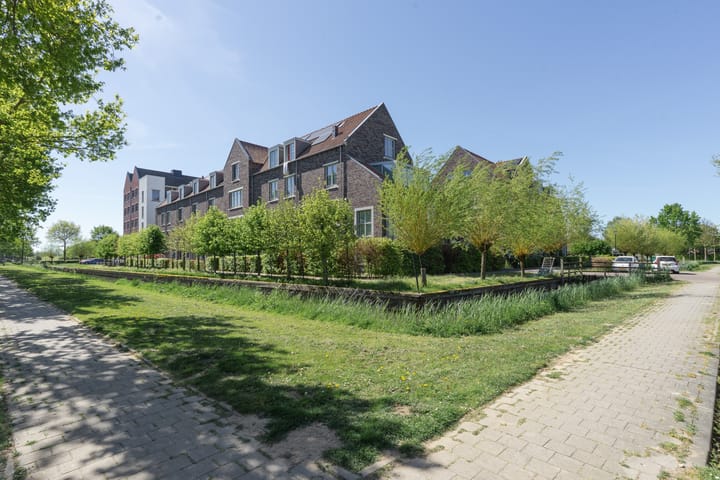 Foto 3 van Hoefslag 20