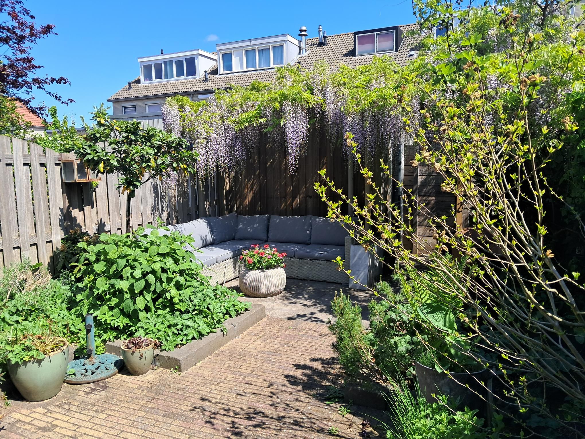Photo 3 of Petronella Moensstraat 8