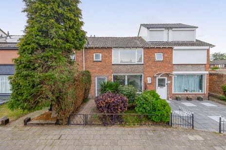Ranonkelstraat thumbnail