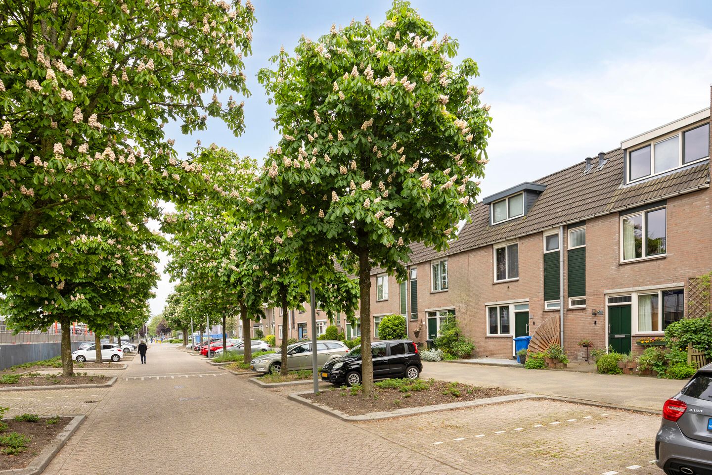 Photo 5 of Schalmei 74