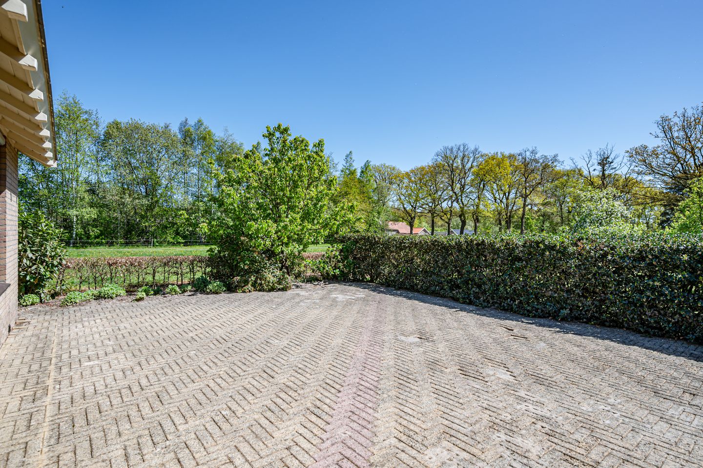 Foto 40 van Leeuwte 3