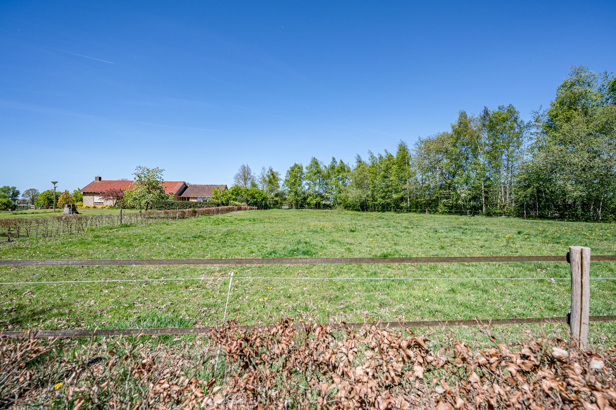 Foto 45 van Leeuwte 3