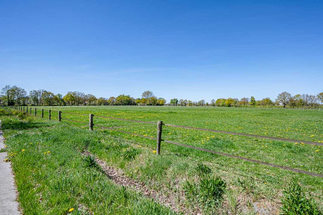 Foto 41 van Leeuwte 3