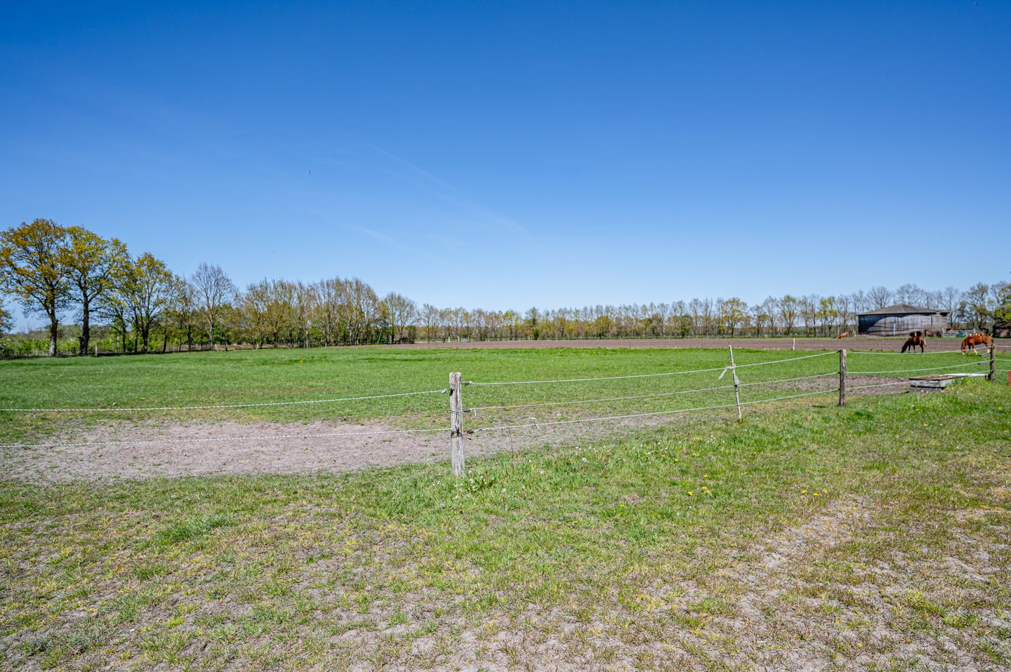 Foto 44 van Leeuwte 3