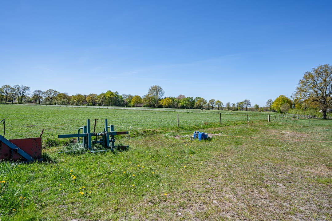 Foto 43 van Leeuwte 3
