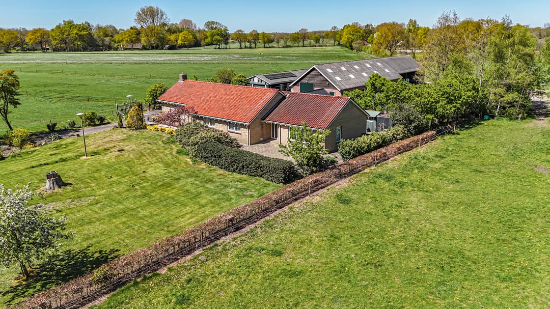 Foto 1 van Leeuwte 3