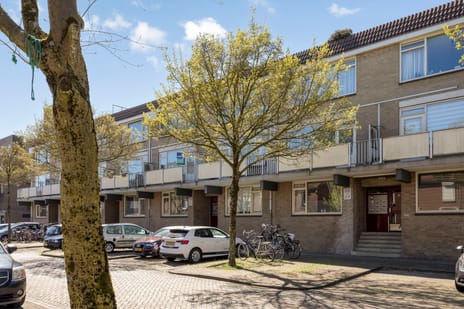 Esdoornstraat thumbnail
