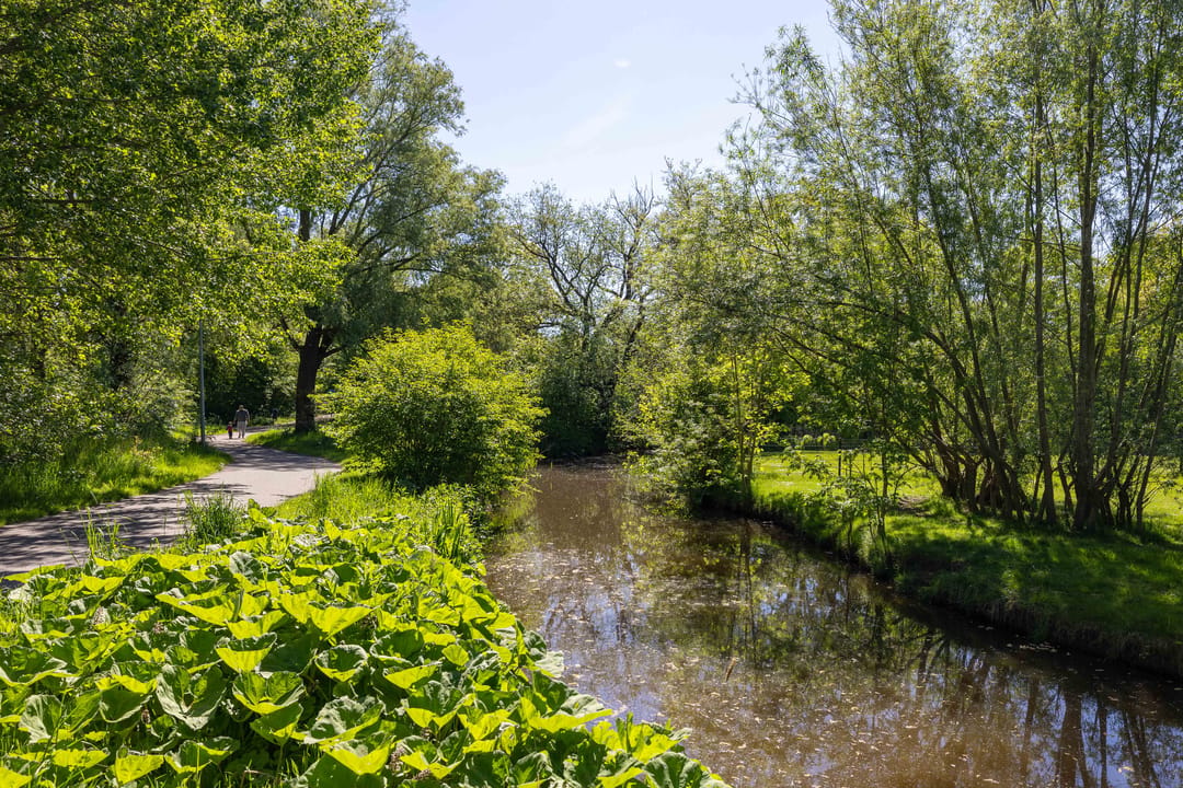 Photo 46 of Kwekerijstraat 15