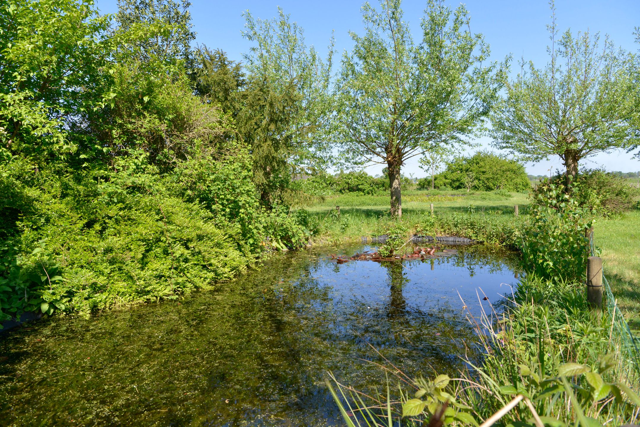 Photo 15 of Eemweg 7