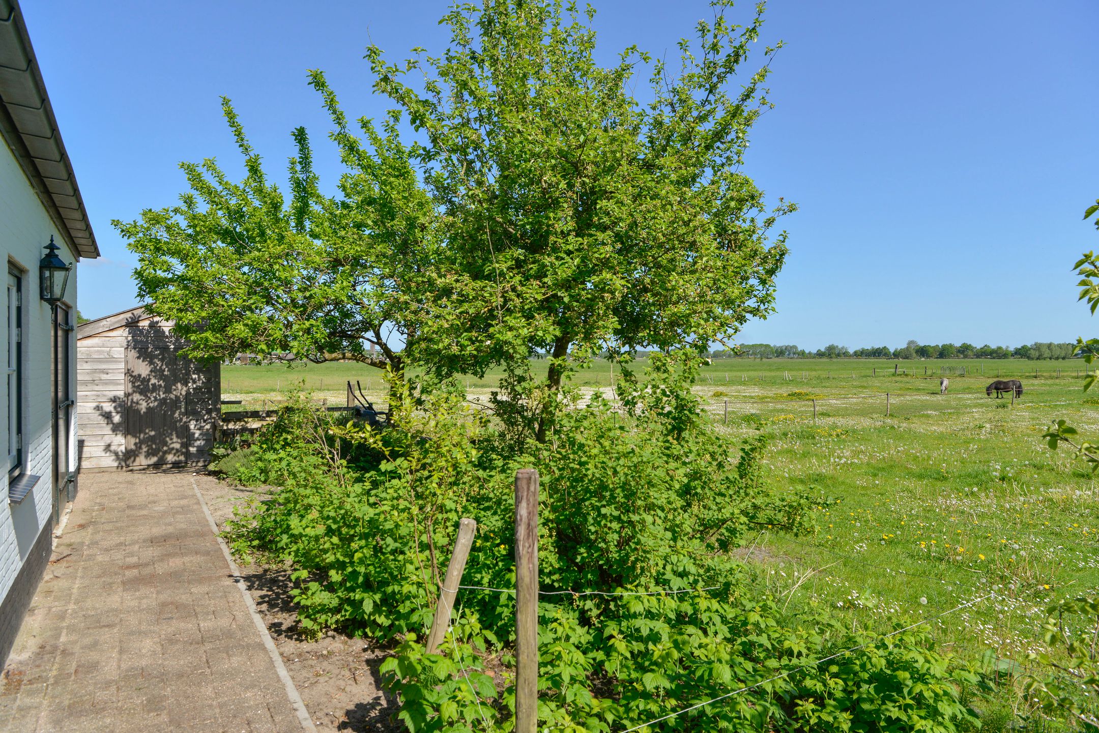 Photo 9 of Eemweg 7
