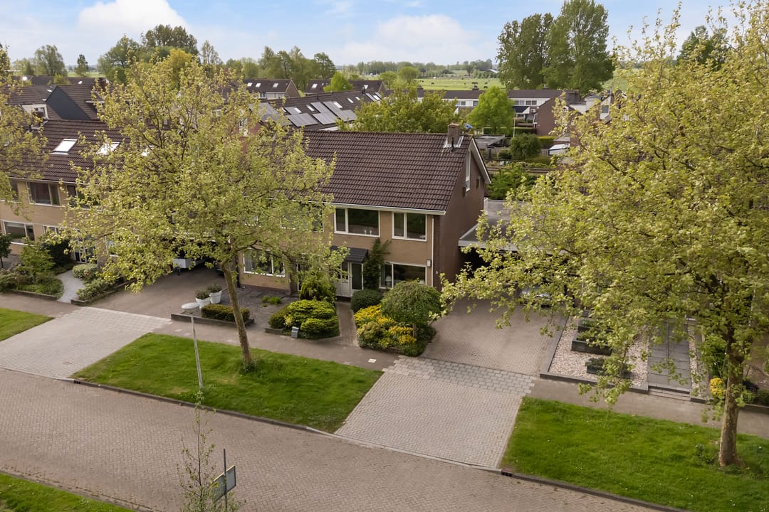 Foto 41 van Koningsspil 6