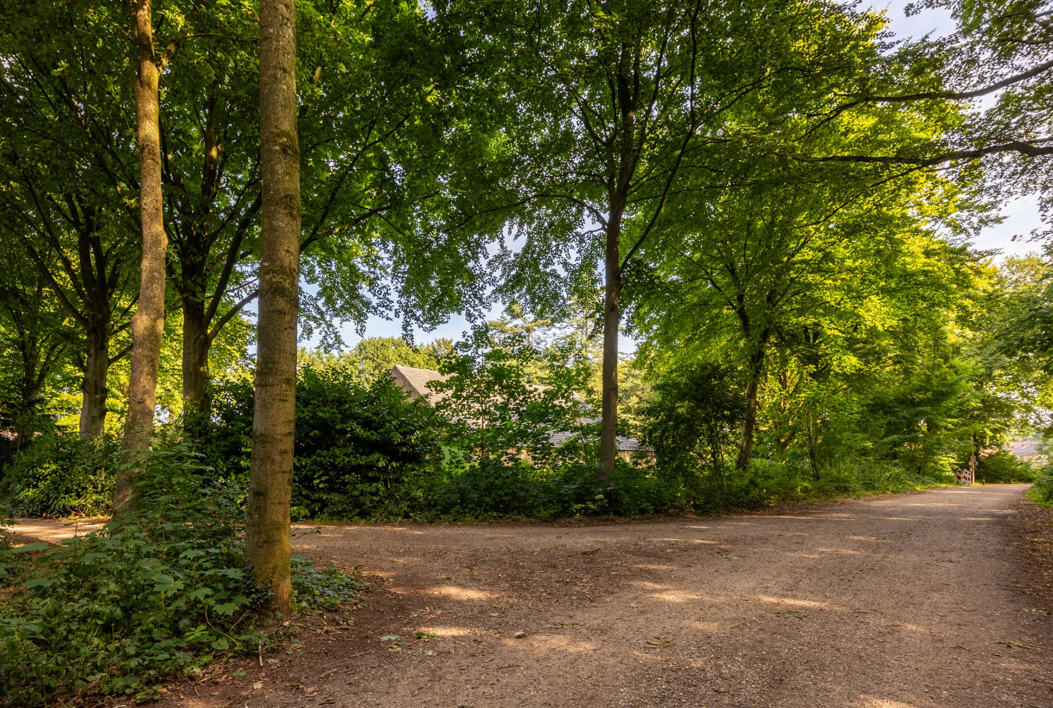 Photo 6 of Wezelhof 64