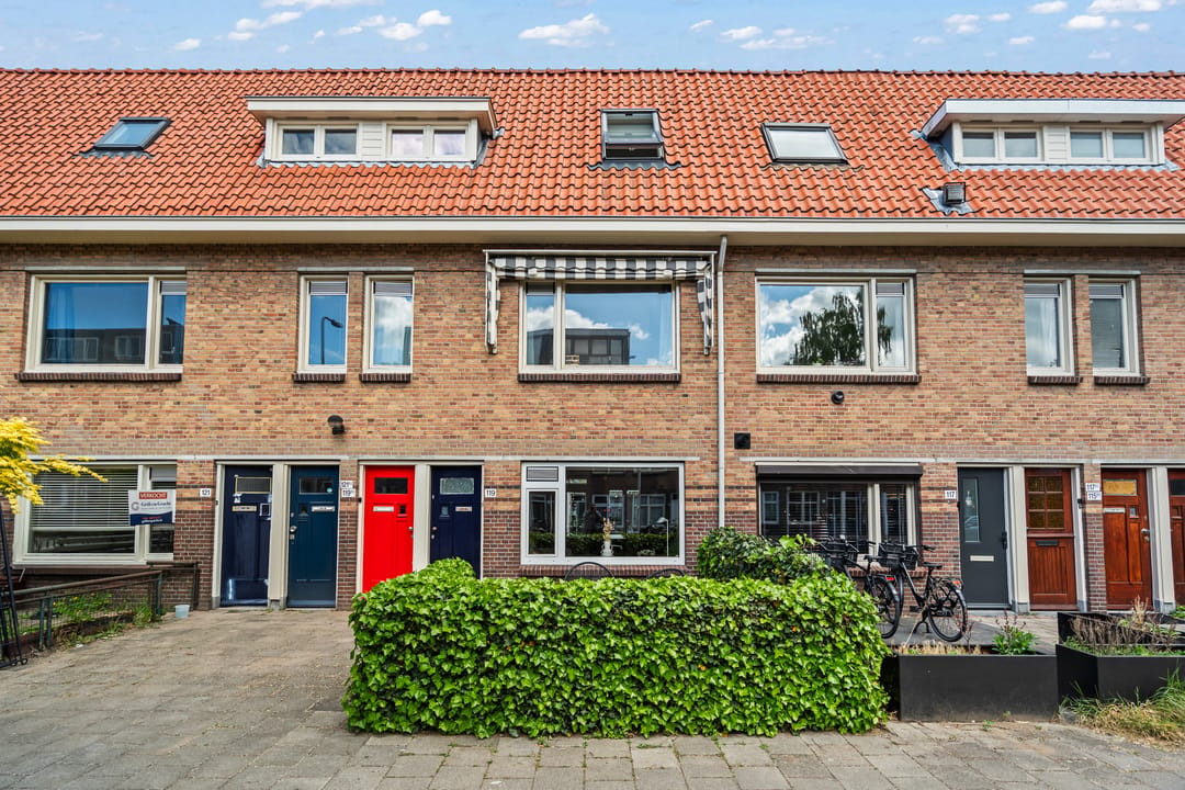 Foto 1 van Laan van Nieuw-Guinea 119