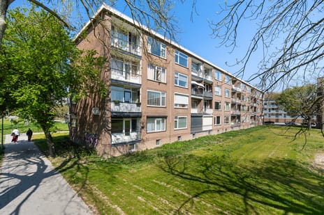Socratesstraat thumbnail