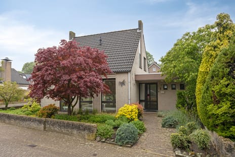 Burgemeester Wittestraat thumbnail
