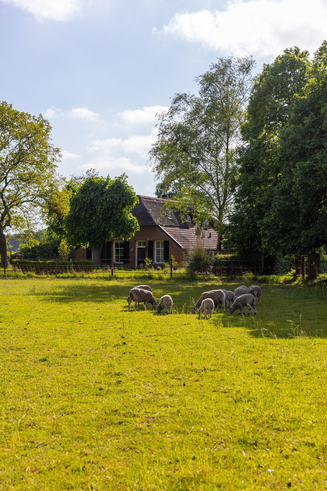 Foto 44 van Jufferdijk 5