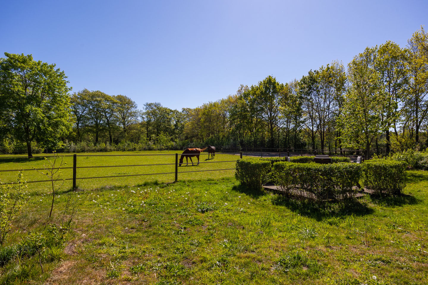 Foto 49 van Jufferdijk 5