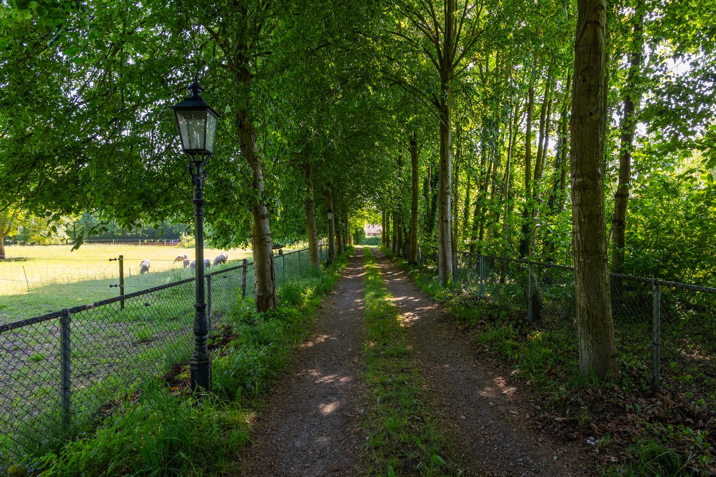Foto 40 van Jufferdijk 5