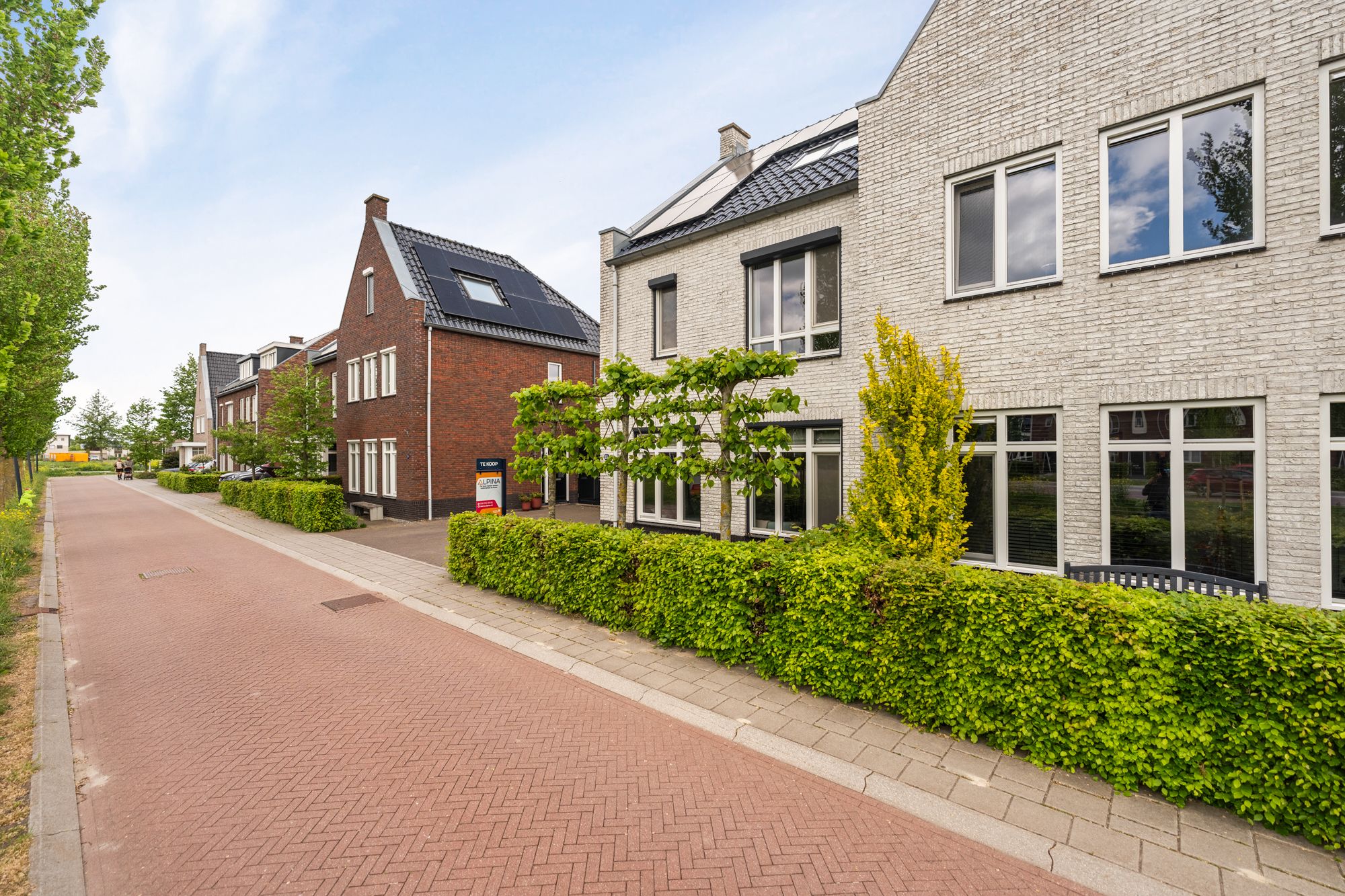 Foto 12 van Wadloper 11