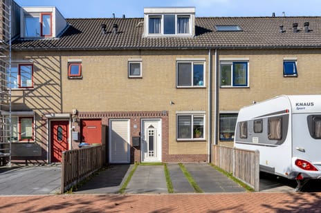 Druivengaarde thumbnail
