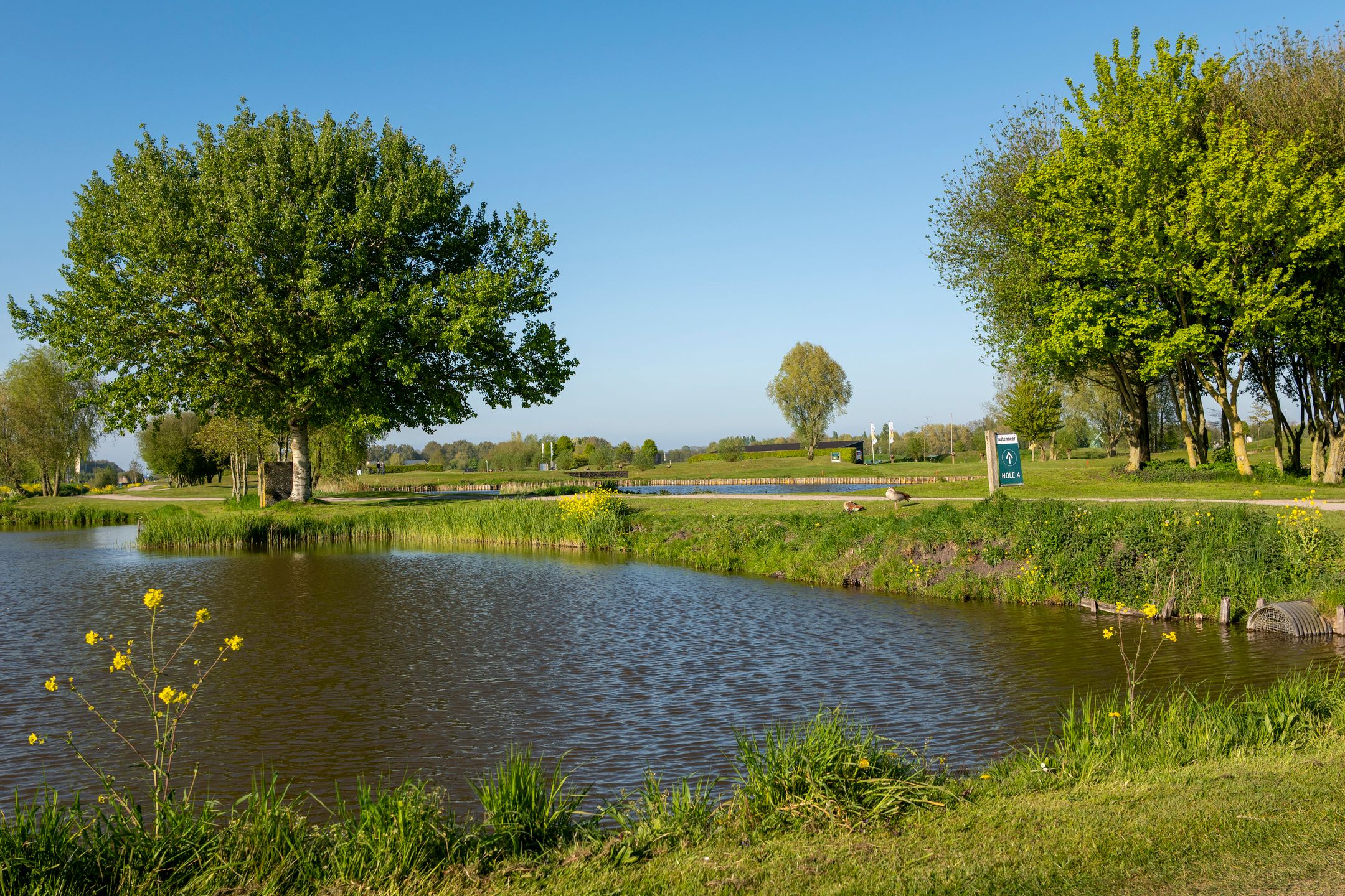 Photo 66 of Kringloop 437
