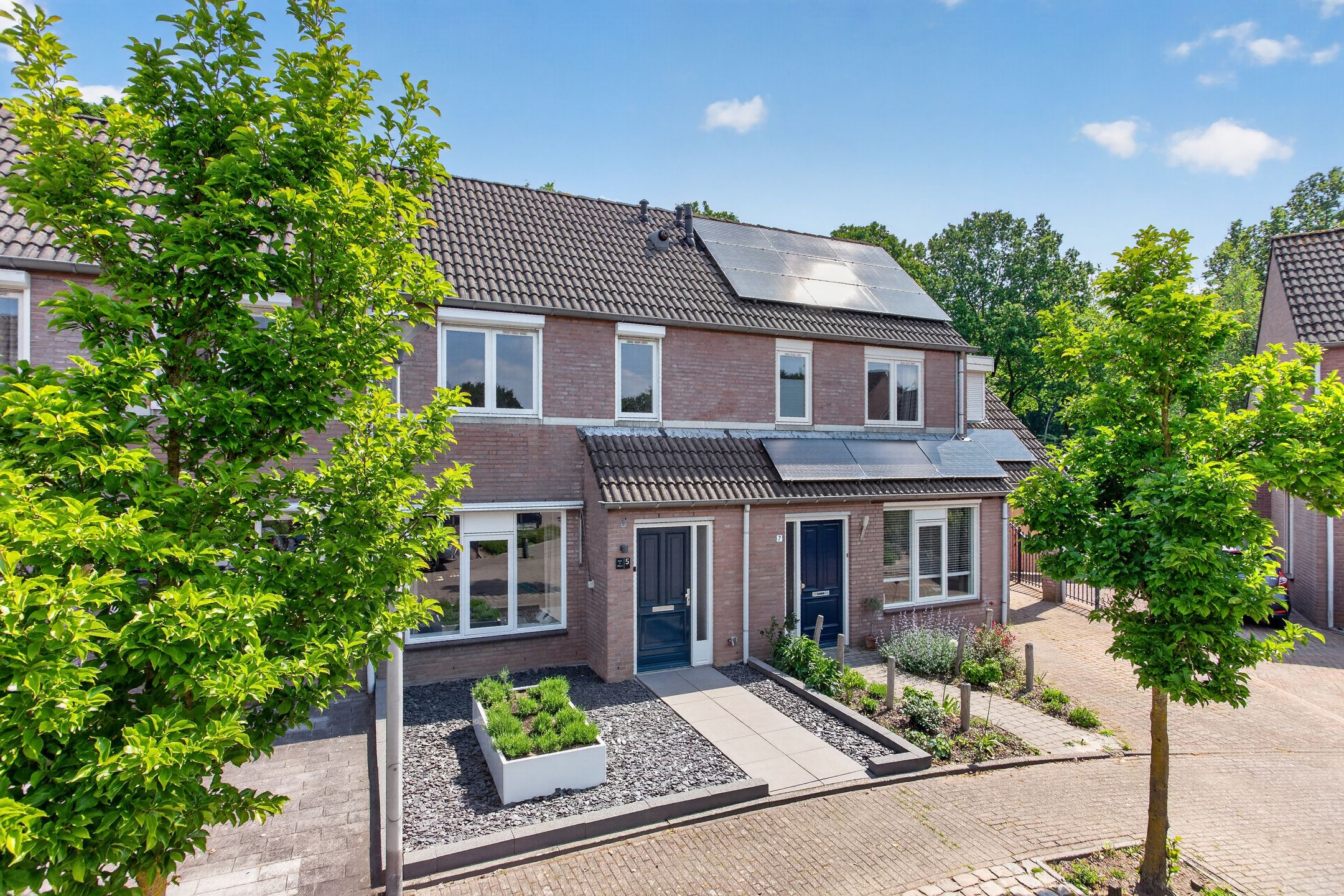 Dollarhof 5 