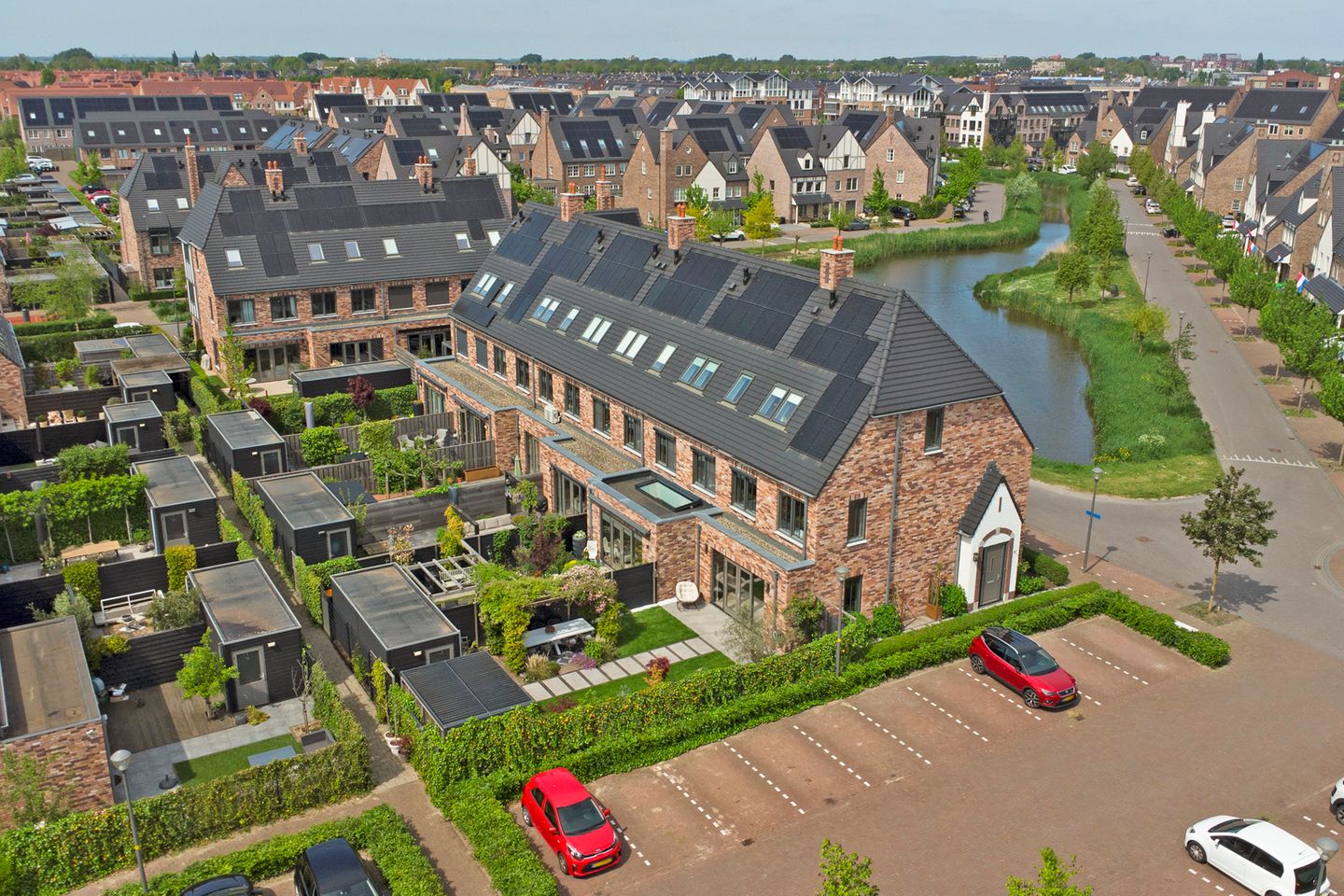 Foto 1 van Zilverkarper 8
