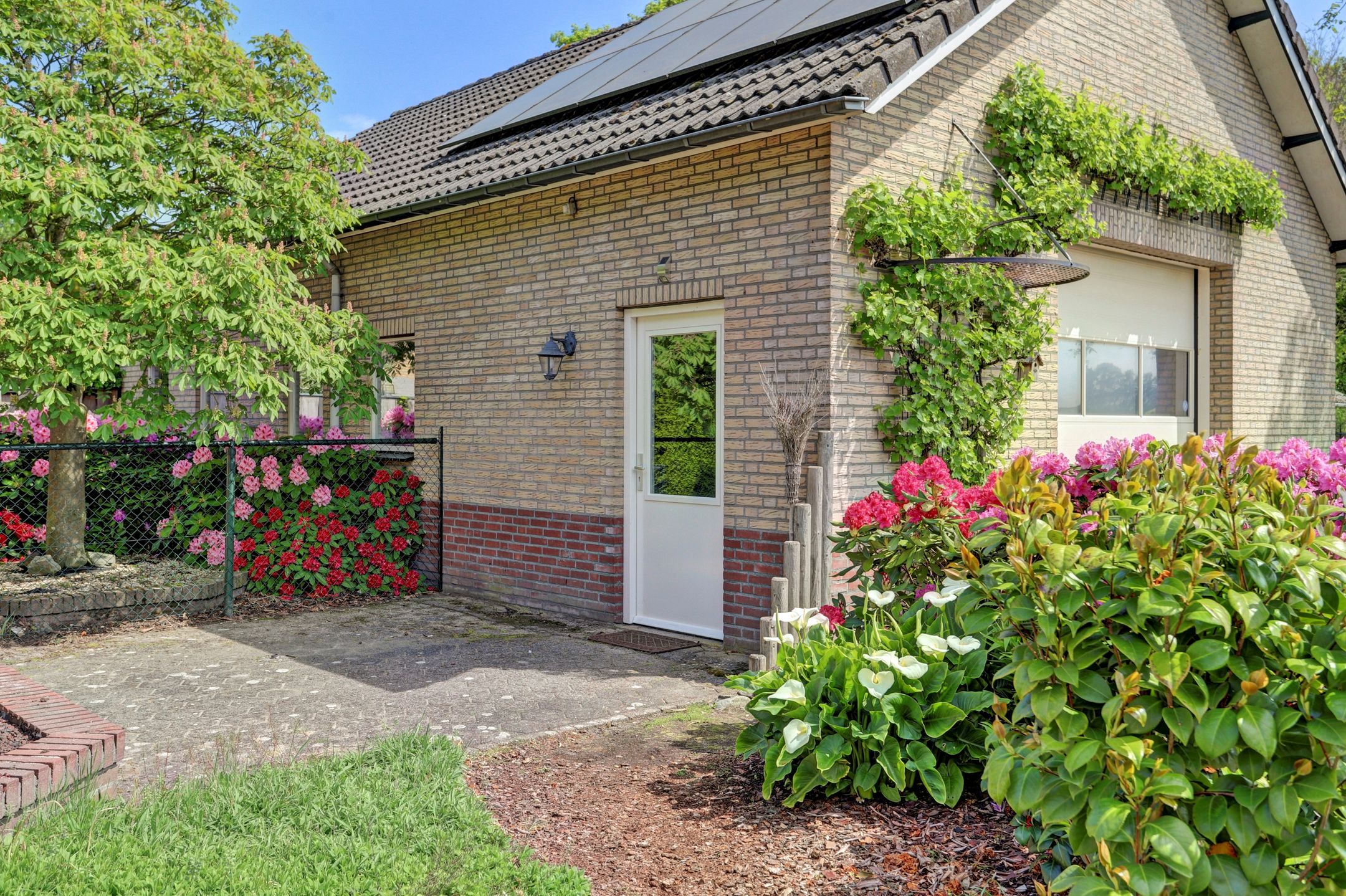 Foto 42 van Patersstraat 19