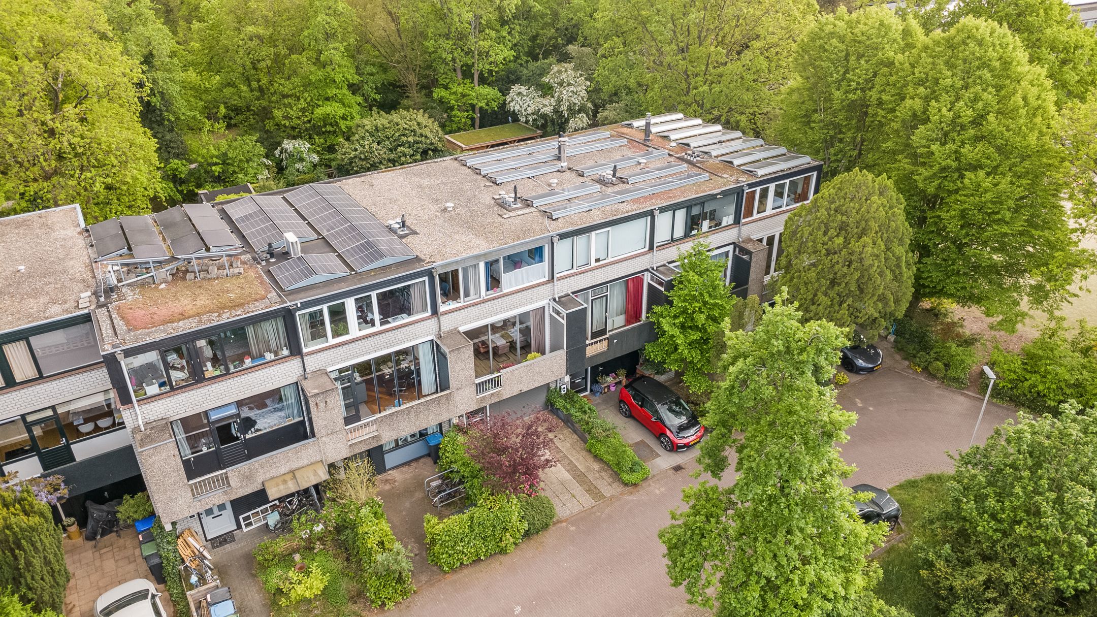 Photo 39 of Anne Franklaan 205