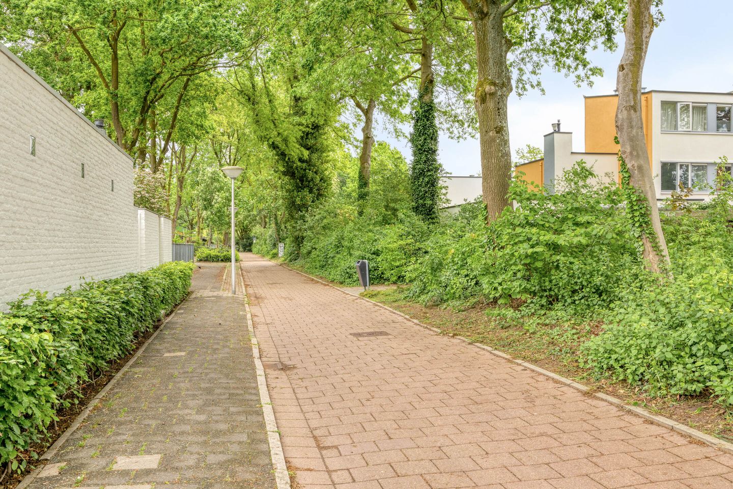 Photo 35 of De Klencke 5