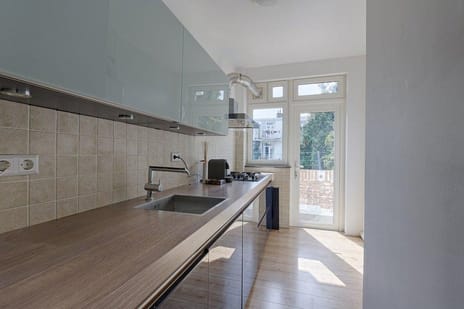 van Gaesbekestraat thumbnail