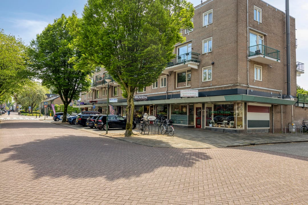 Foto 43 van Philips Willemplantsoen 13