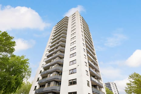 Korianderstraat thumbnail