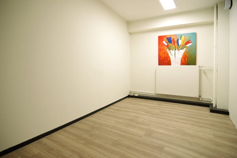 Bekijk foto 1 van Kleine-Gartmanplantsoen 21