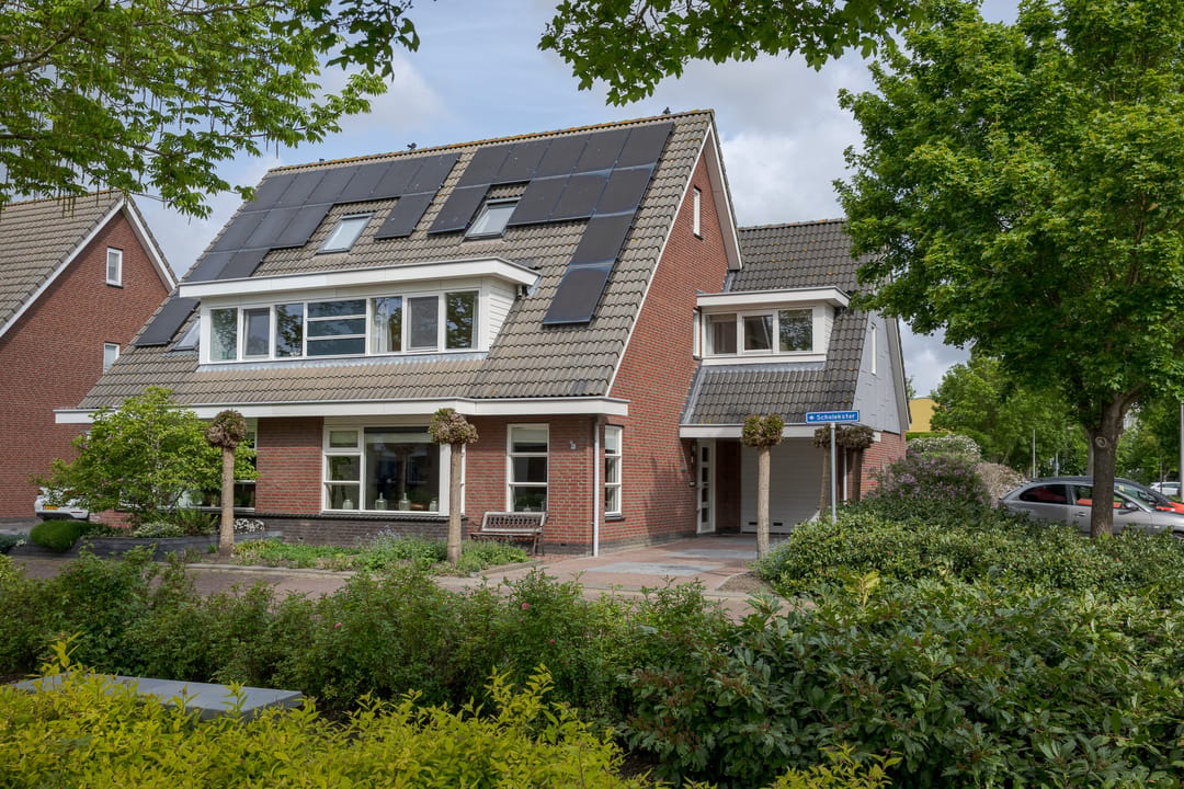 Photo 1 of Scholekster 1