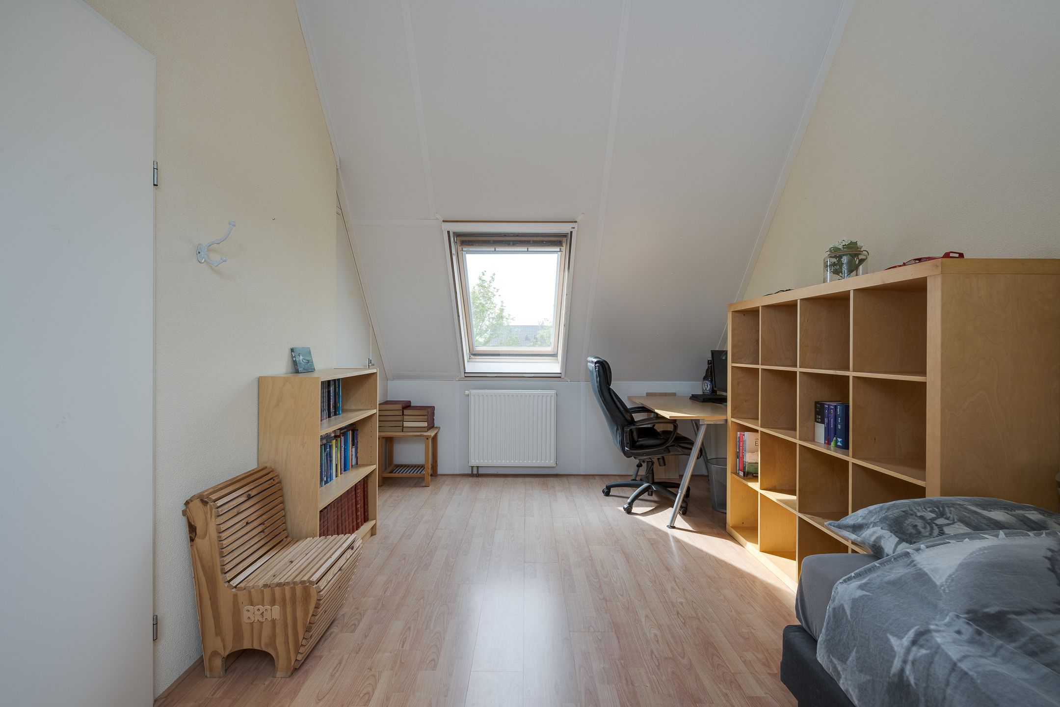Photo 21 of Scholekster 1