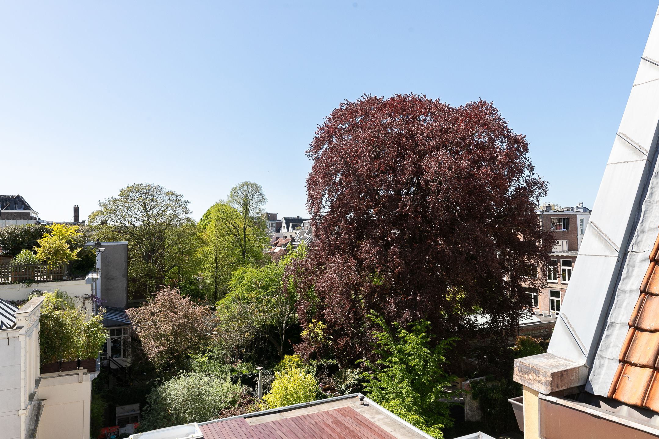 Foto 42 van Brouwersgracht 37