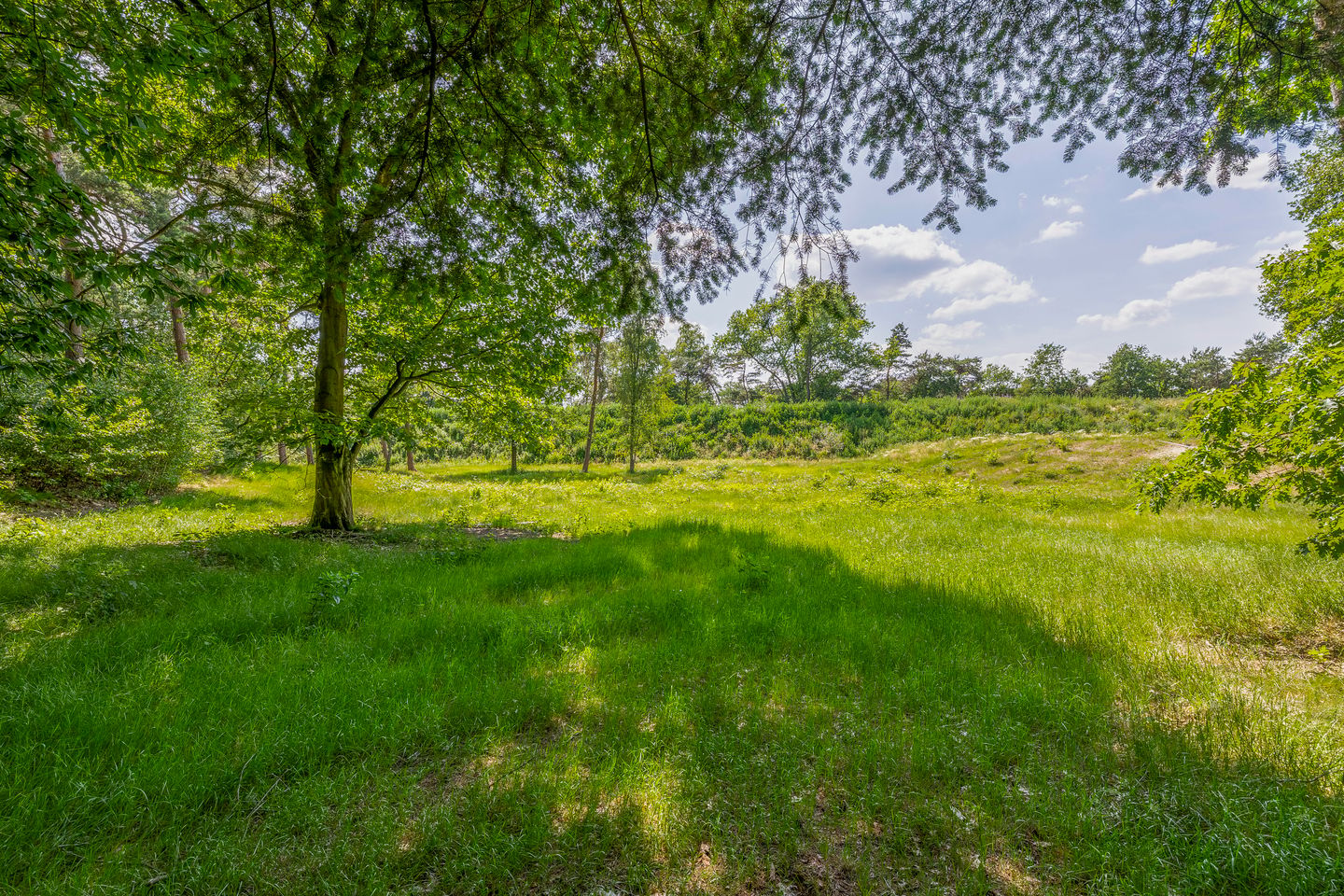 Foto 14 van Nachtegaallaan - bouwnummer 1