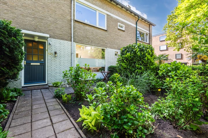 Mombaerstraat 162