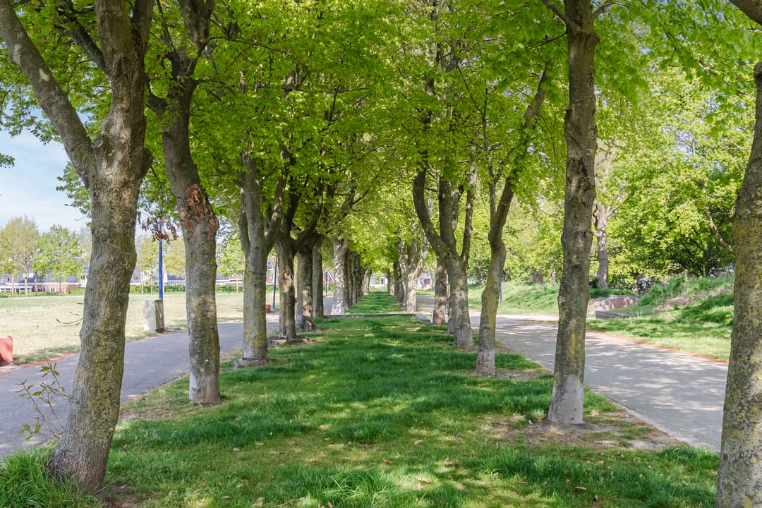 Foto 43 van Zuidsingel 22-A