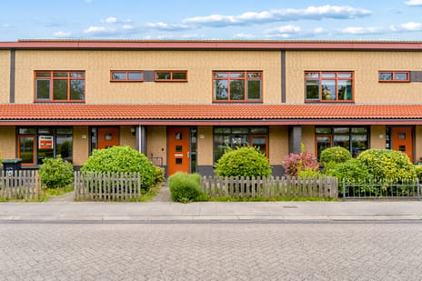 Jan Steenstraat thumbnail