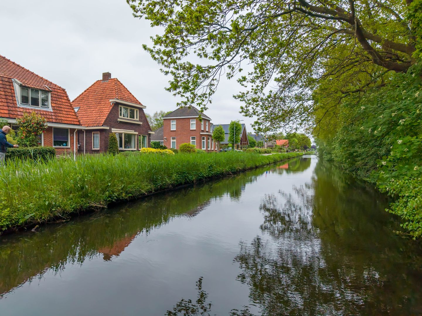 Photo 50 of Achterdiep Noordzijde 37