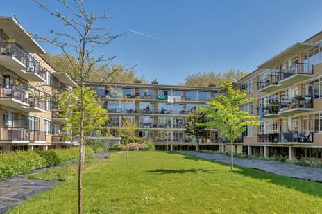 Van der Horststraat thumbnail