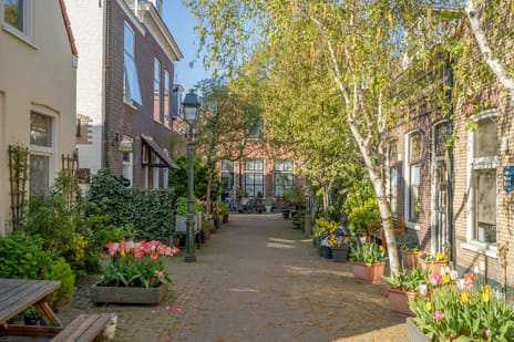 Zeilstraat thumbnail