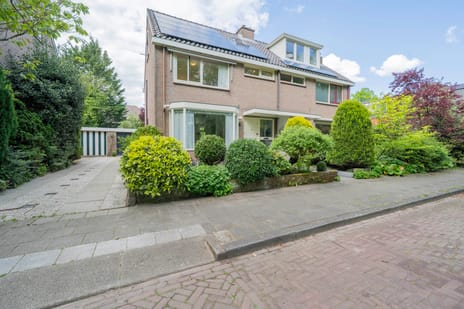 Kogerhout thumbnail