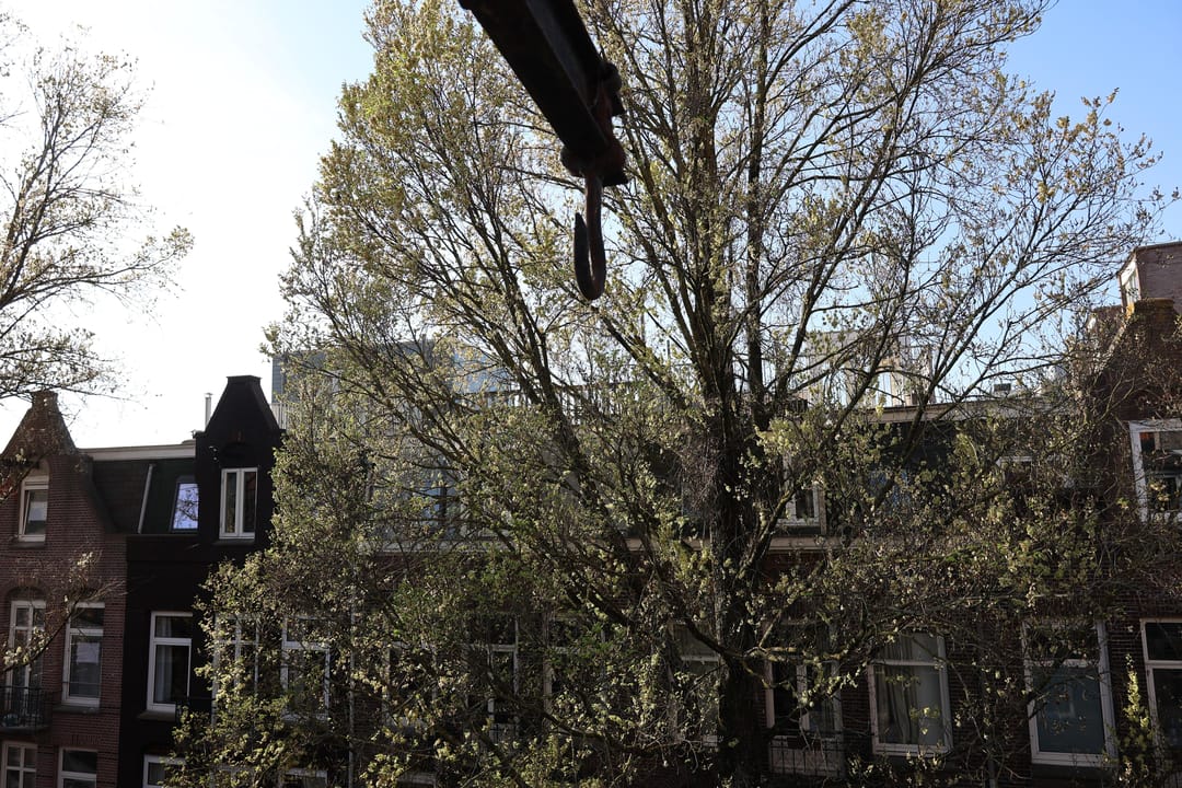 Foto 41 van Graaf Florisstraat 10-4