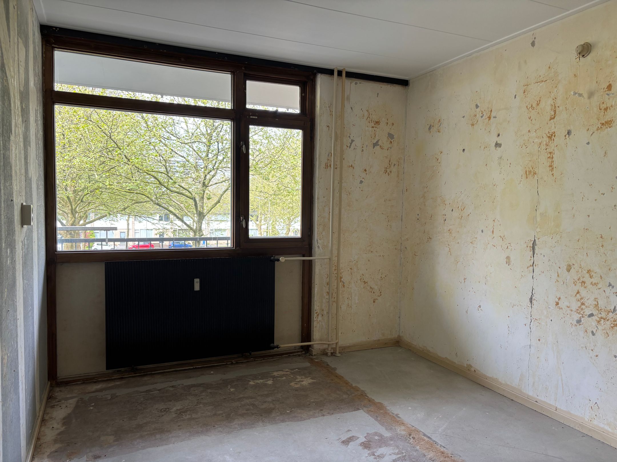 Photo 12 of Plutostraat 256