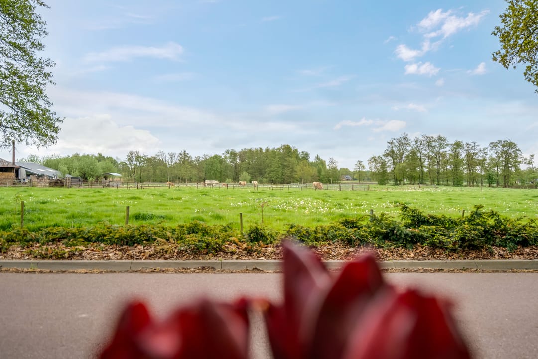 Foto 17 van Oostindie 19