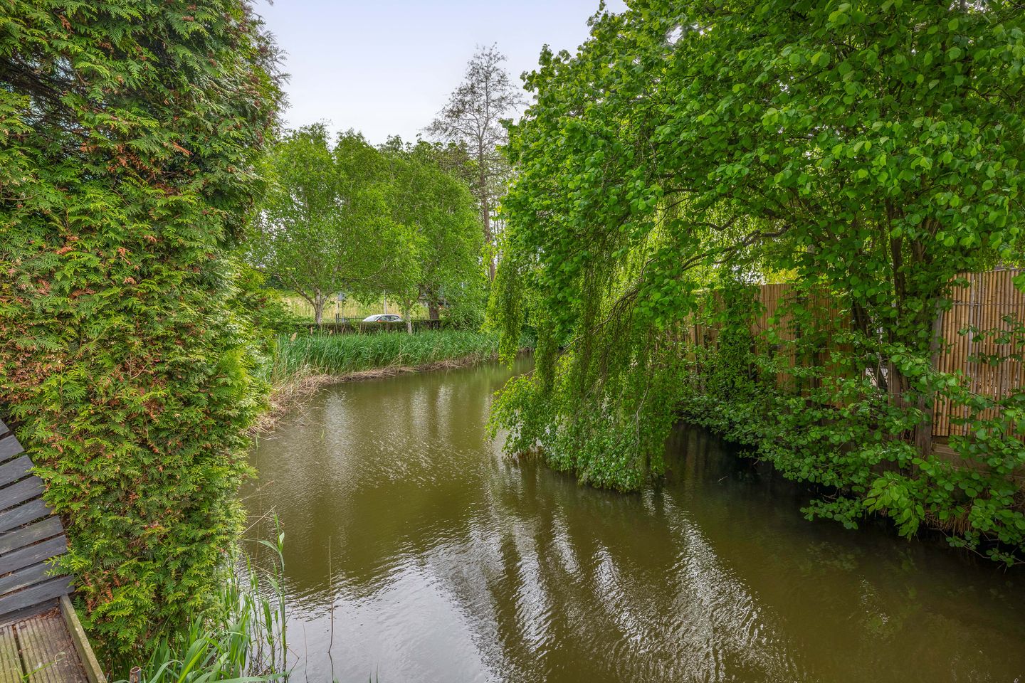 Photo 50 of Pascaltuin 23