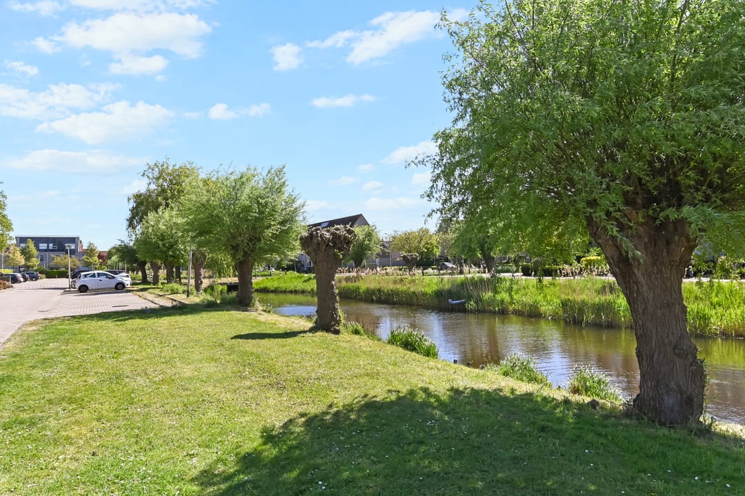 Photo 32 of Ereprijs 3